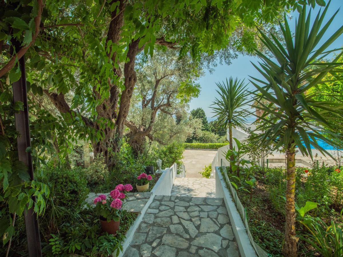 The Turtles Garden Villa Bečići Exteriör bild